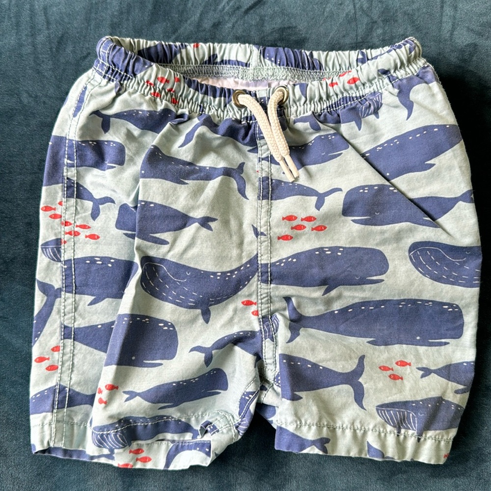 Mini Boden Baby Boden Boys Size 18-24 months  Bathing Suit Blue